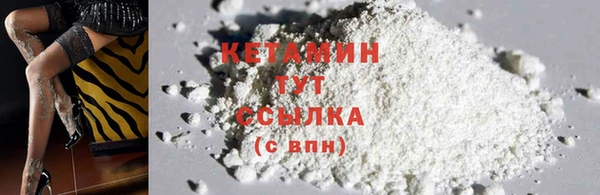 гидра Богородицк