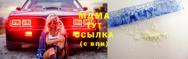 гидра Богородицк