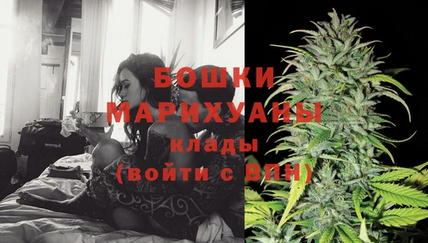 шишки Белокуриха
