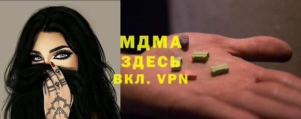 шишки Белокуриха