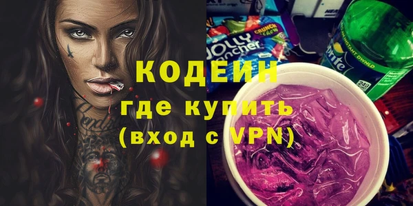 гидра Богородицк