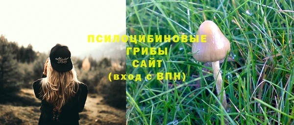 гидра Богородицк