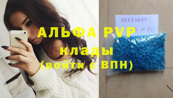 гидра Богородицк