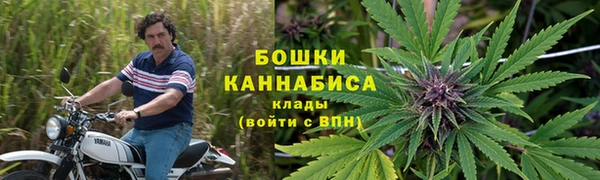 стаф Богданович