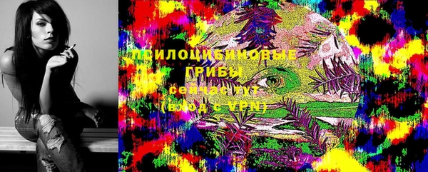 гашиш Богородск