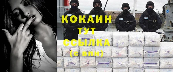 шишки Белокуриха