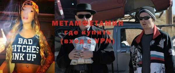шишки Белокуриха