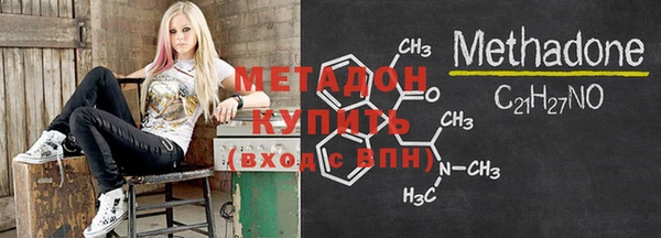 шишки Белокуриха