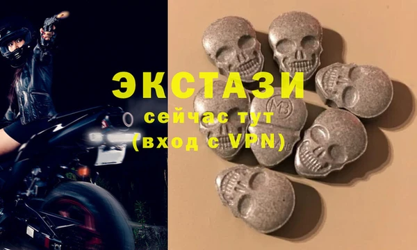 гидра Богородицк